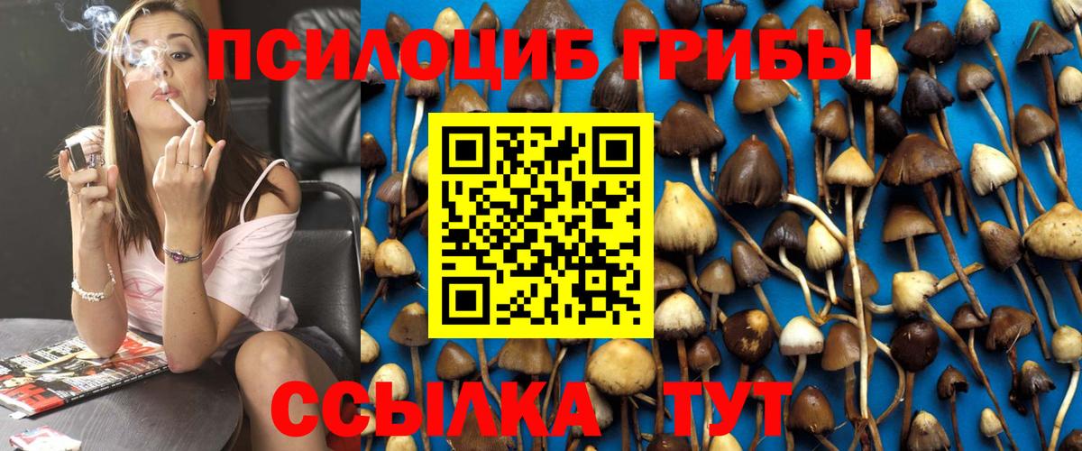 Галлюциногенные грибы Psilocybine cubensis Кимры
