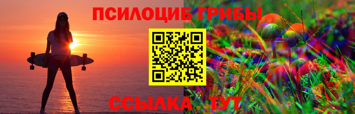 дарнет шоп  Галлюциногенные грибы GOLDEN TEACHER  Вход с VPN  Кимры 